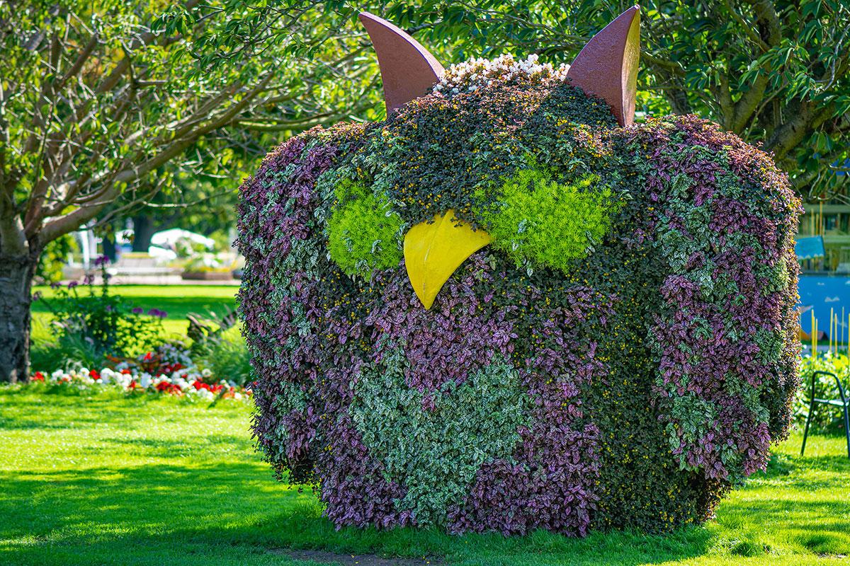 Blumeneule im egapark Erfurt - Thüringen