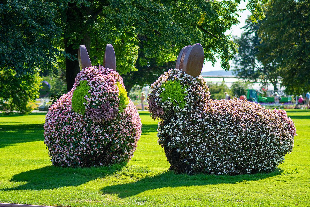 Blumenhasis im egapark Erfurt - Thüringen