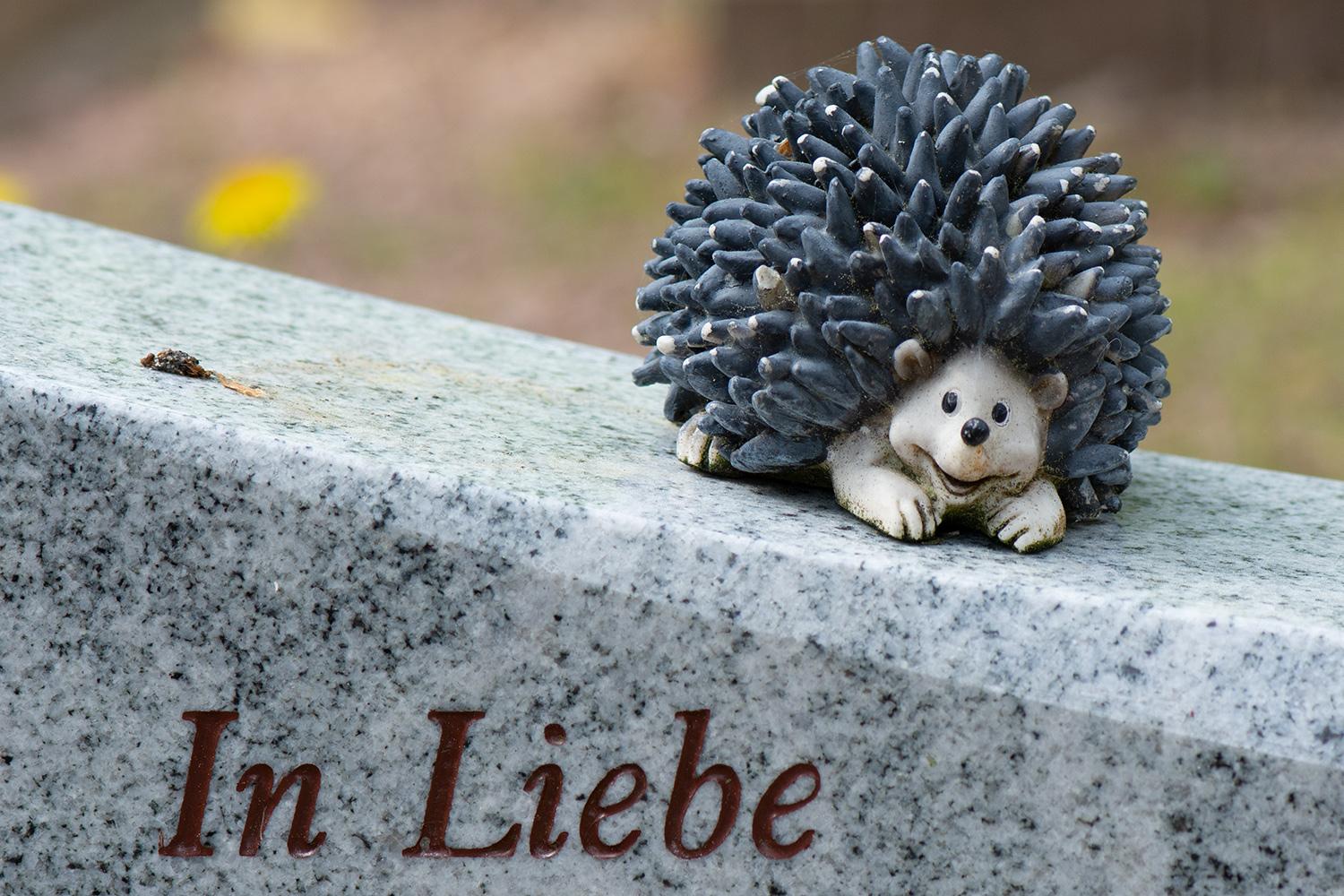 Der kleine Igel