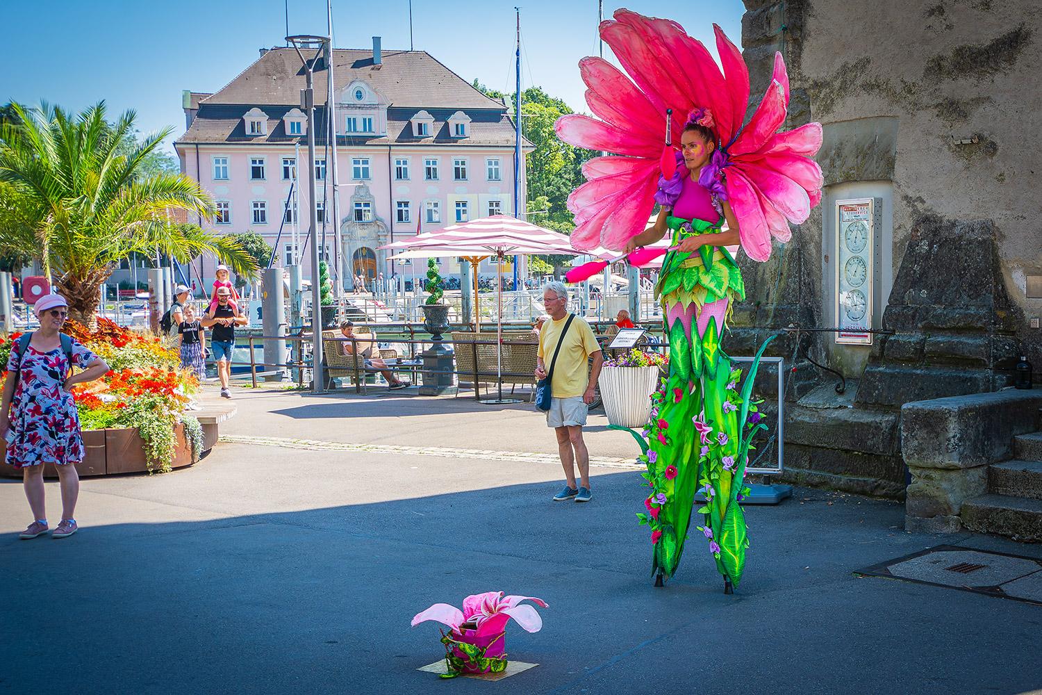 Die Blume von Lindau am Bodensee - Bayern