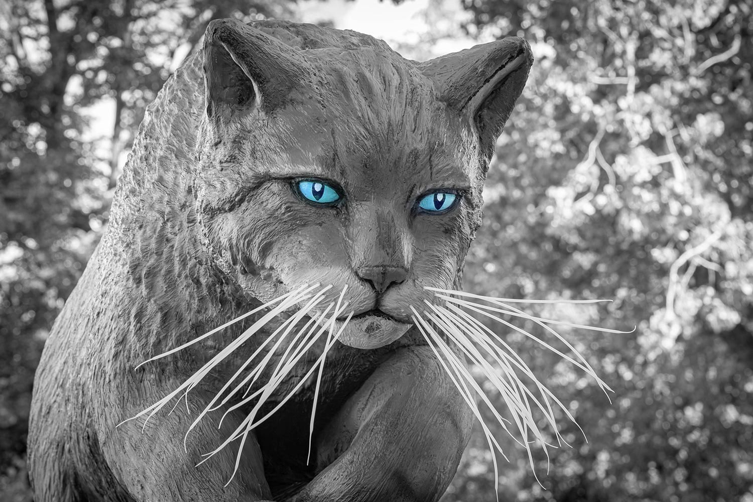 Die Wildkatze im Egapark Erfurt - Thüringen