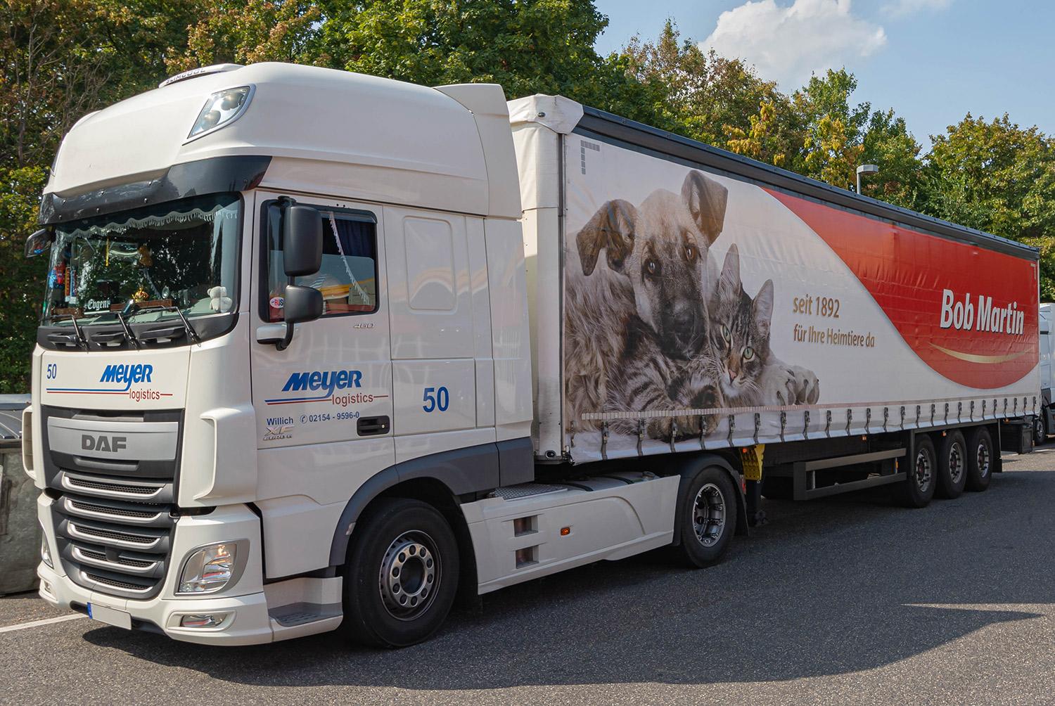 Gesundheit von Haustieren - DAF 460 Euro 6