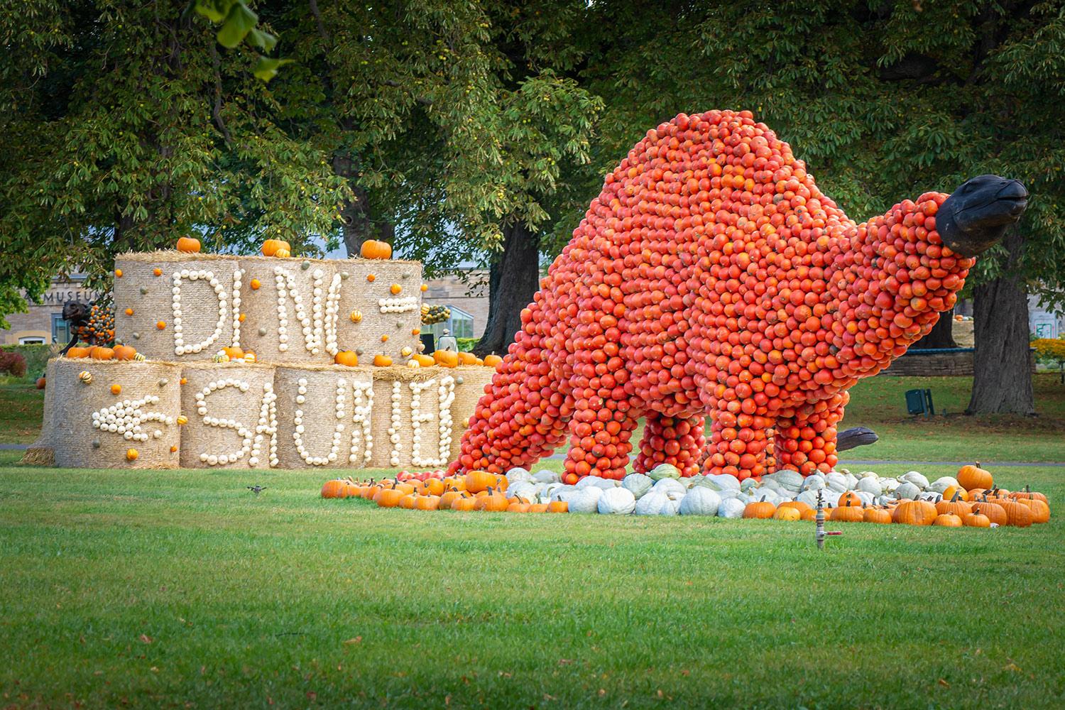 Kürbisausstellung egapark Erfurt 2015