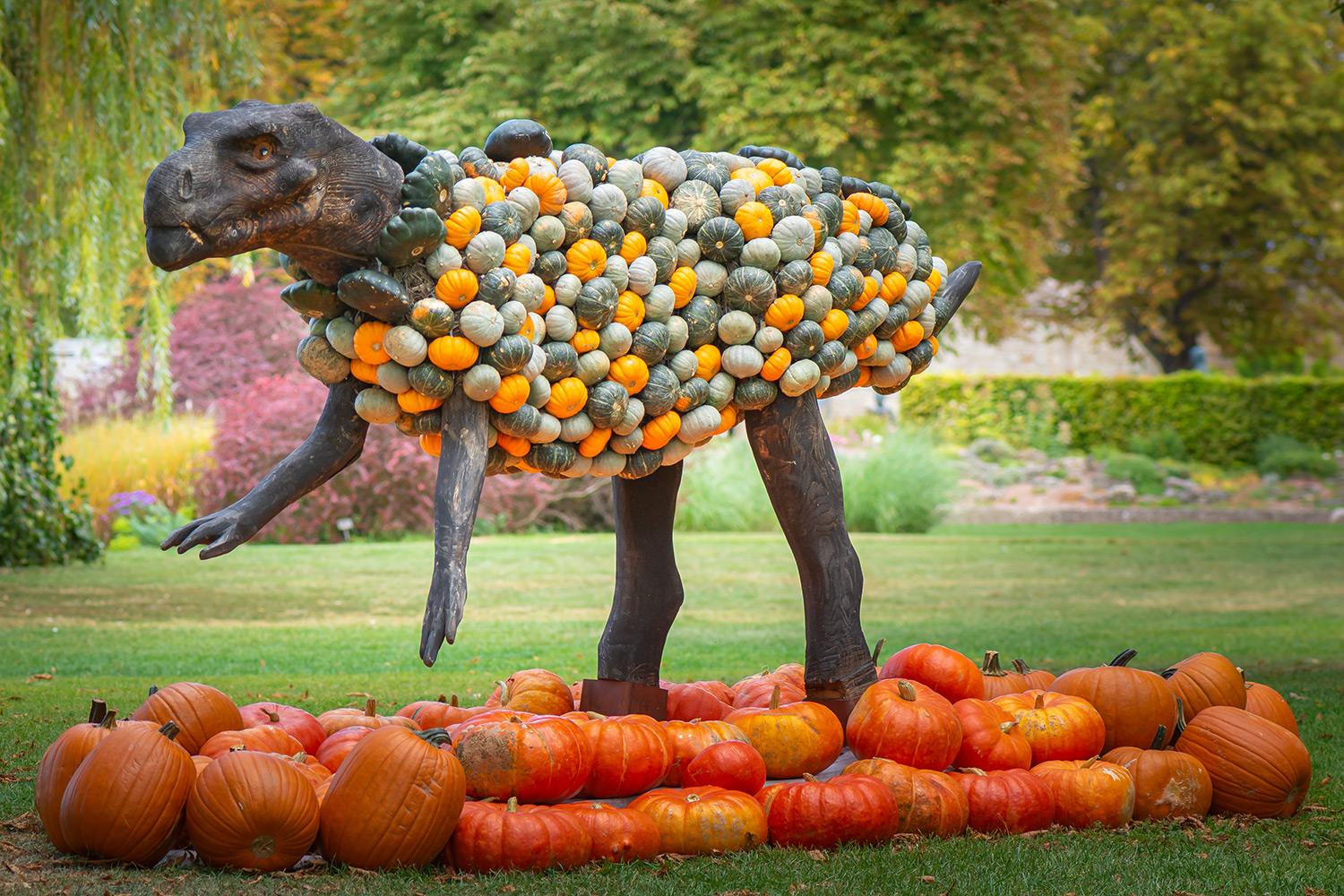 Kürbisausstellung egapark Erfurt 2015 - Utahraptor