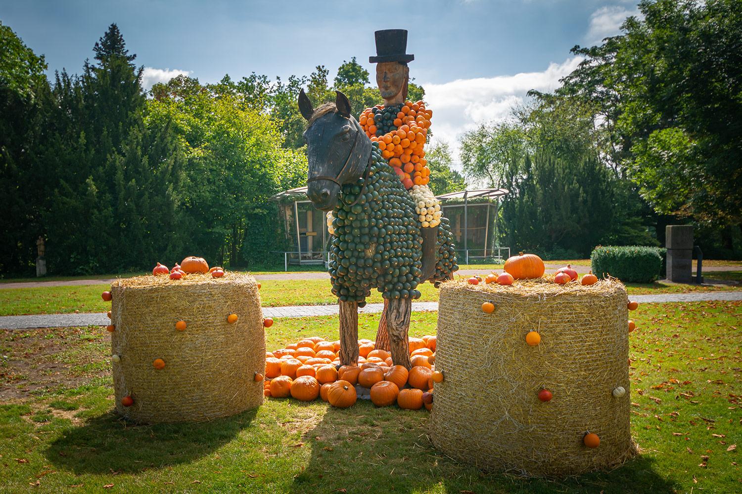 Kürbisausstellung egapark Erfurt 2016 - Dressurreiten