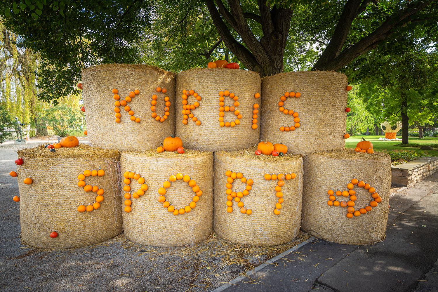 Kürbisausstellung egapark Erfurt 2016