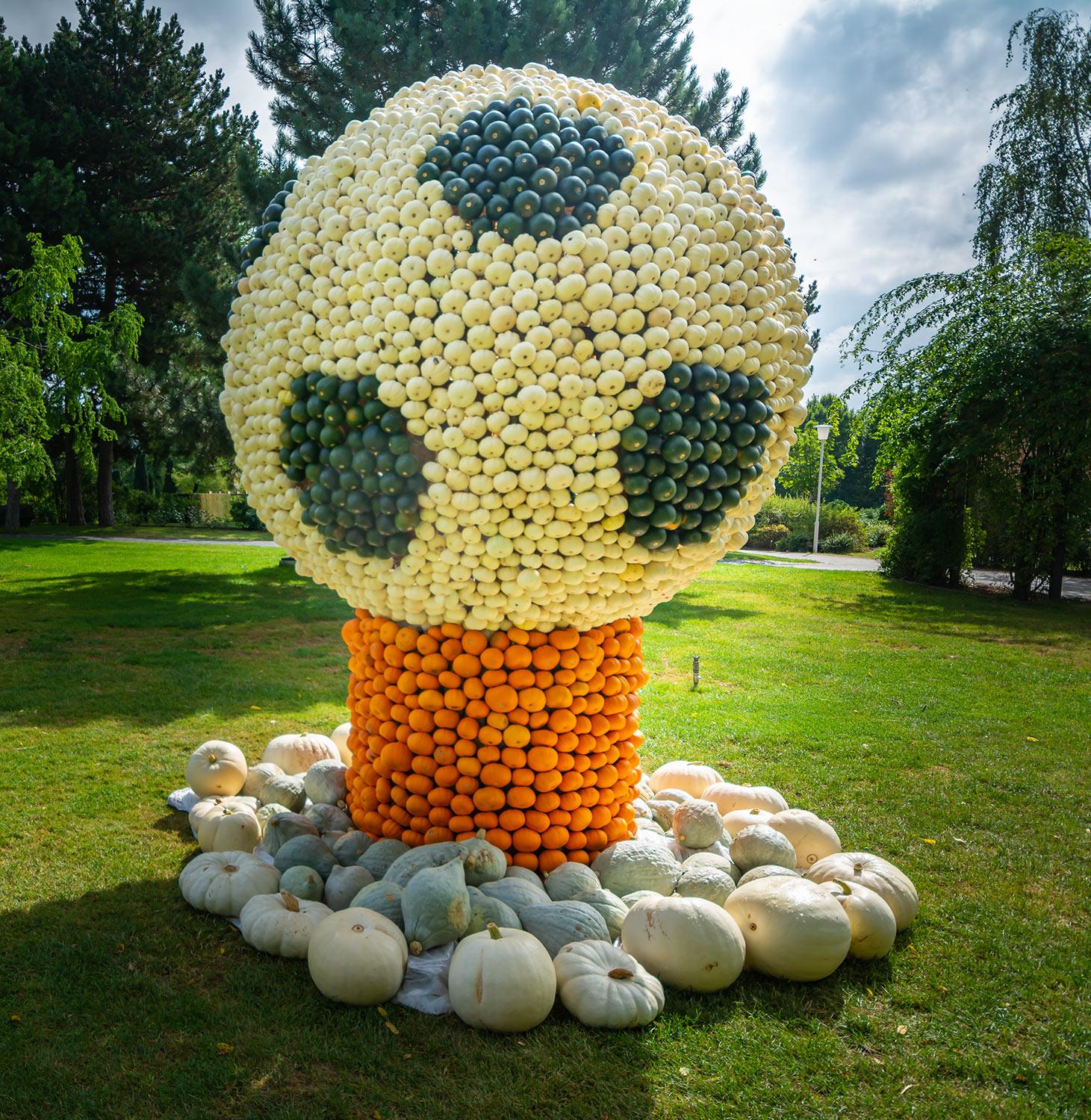 Kürbisausstellung egapark Erfurt 2016 - Fussball