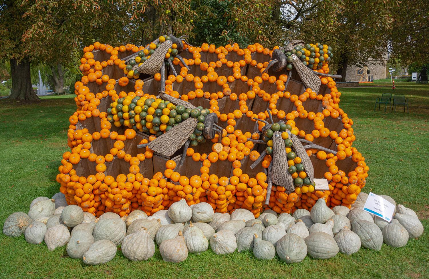 Kürbisausstellung egapark Erfurt 2017 - Bienenkönigin