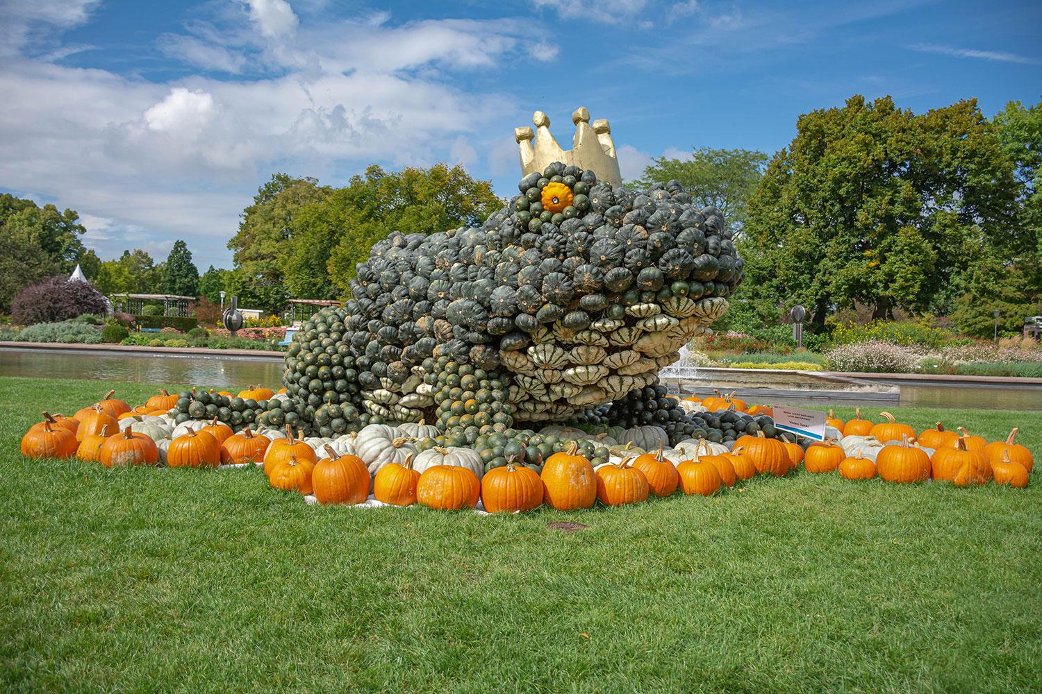 Kürbisausstellung egapark Erfurt 2017  - Der Froschkönig