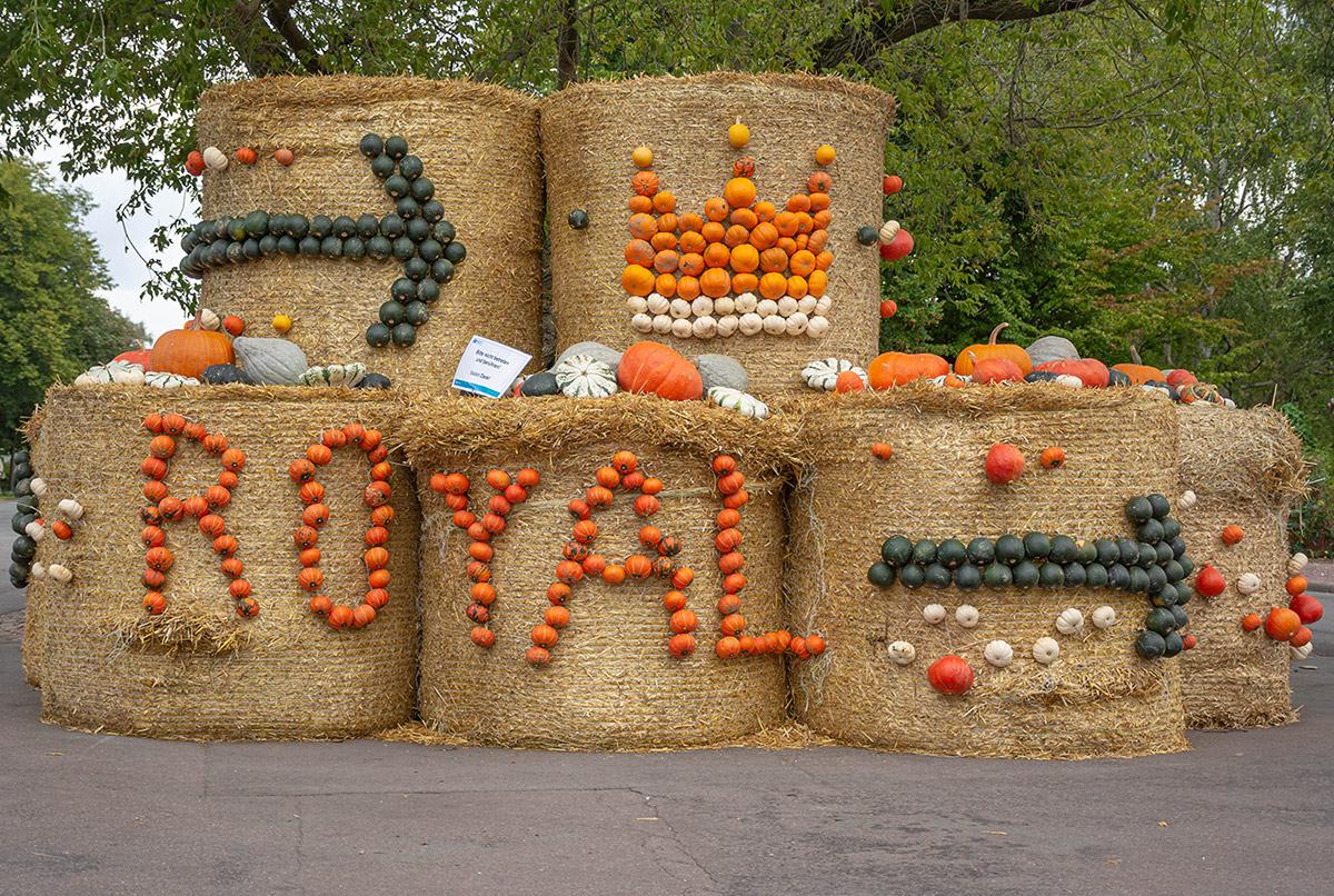 Kürbisausstellung egapark Erfurt 2017