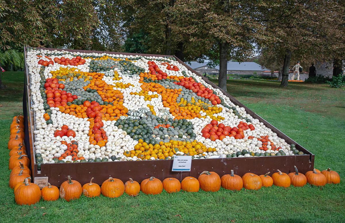 Kürbisausstellung egapark Erfurt 2017 - Herz König
