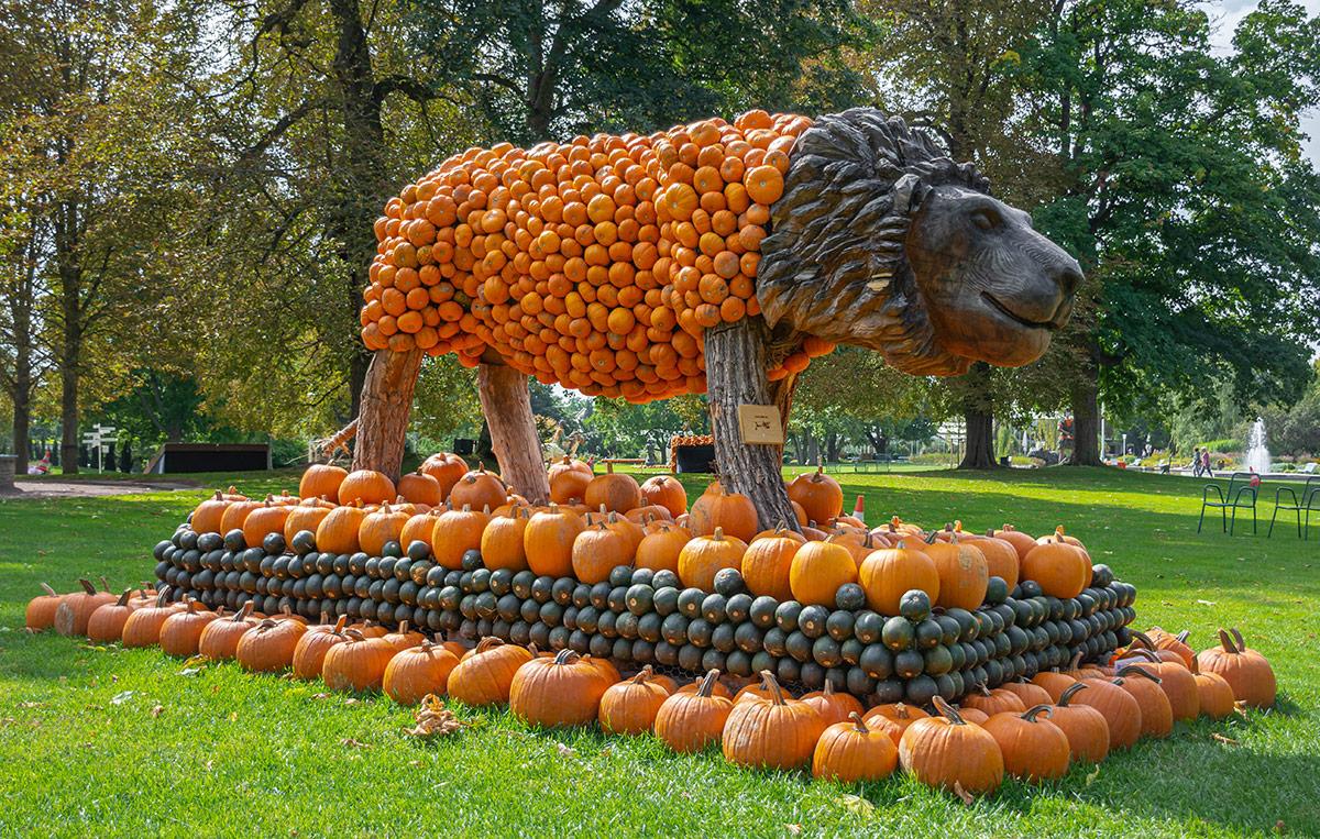 Kürbisausstellung egapark Erfurt 2017 - König der Löwen