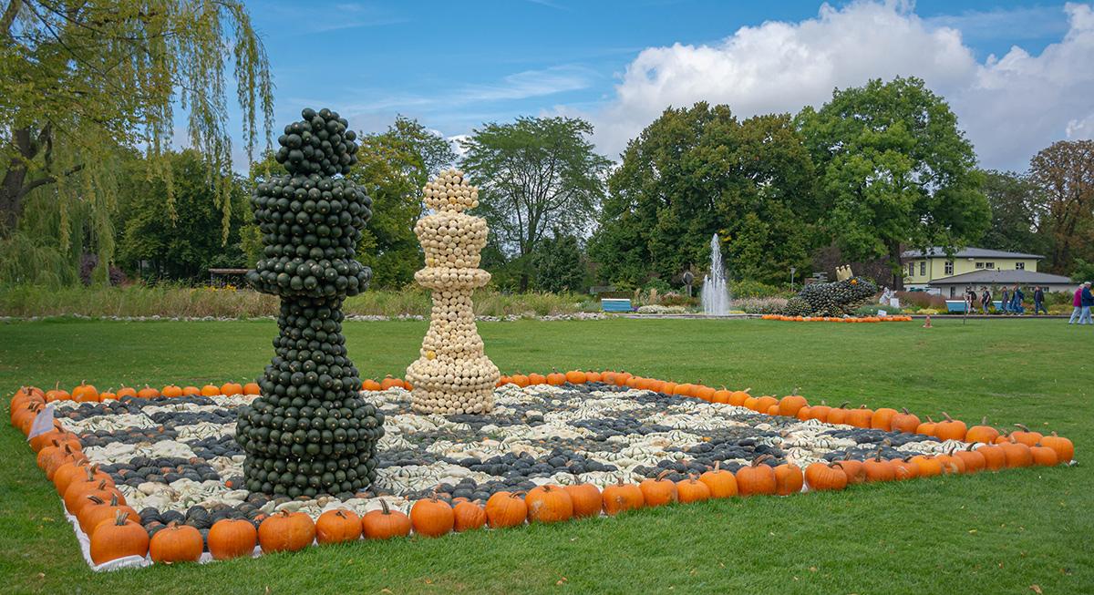 Kürbisausstellung egapark Erfurt 2017 - Schach