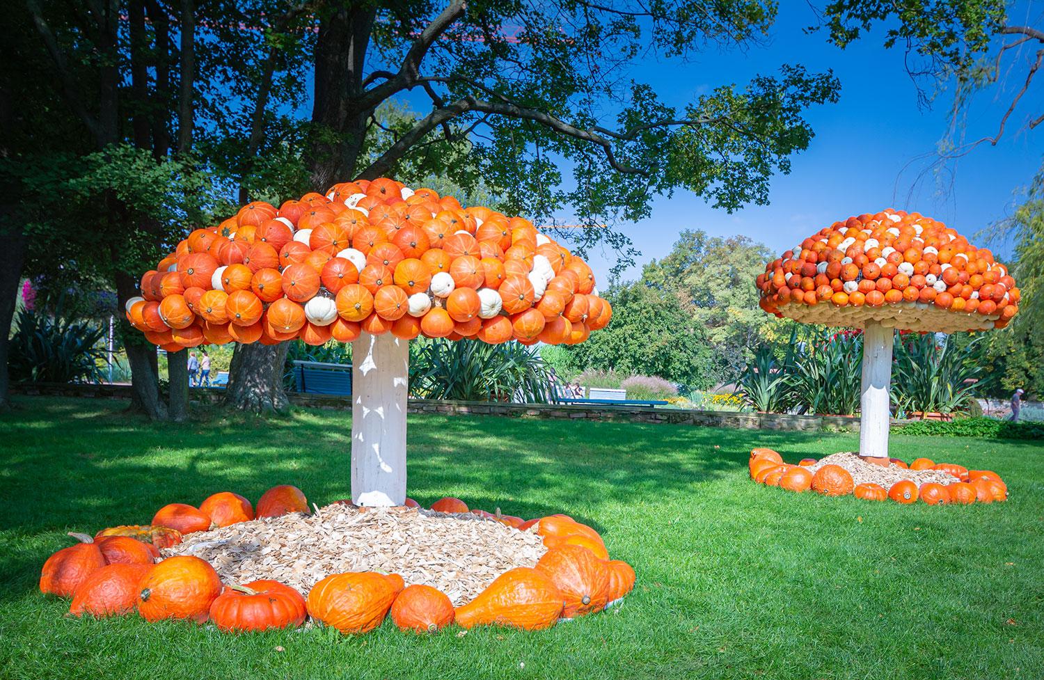 Kürbisausstellung egapark Erfurt 2018 - Fliegenpilze