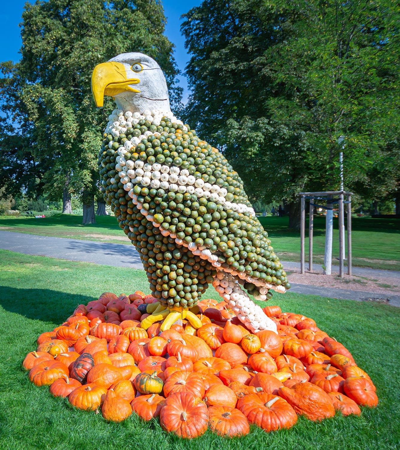 Kürbisausstellung egapark Erfurt 2018 - Weisskopfseeadler