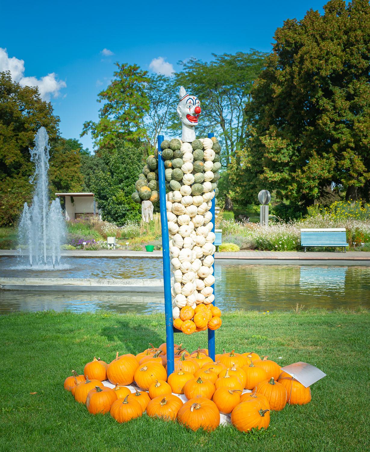 Kürbisausstellung egapark Erfurt 2019 - Clown beim Turnen