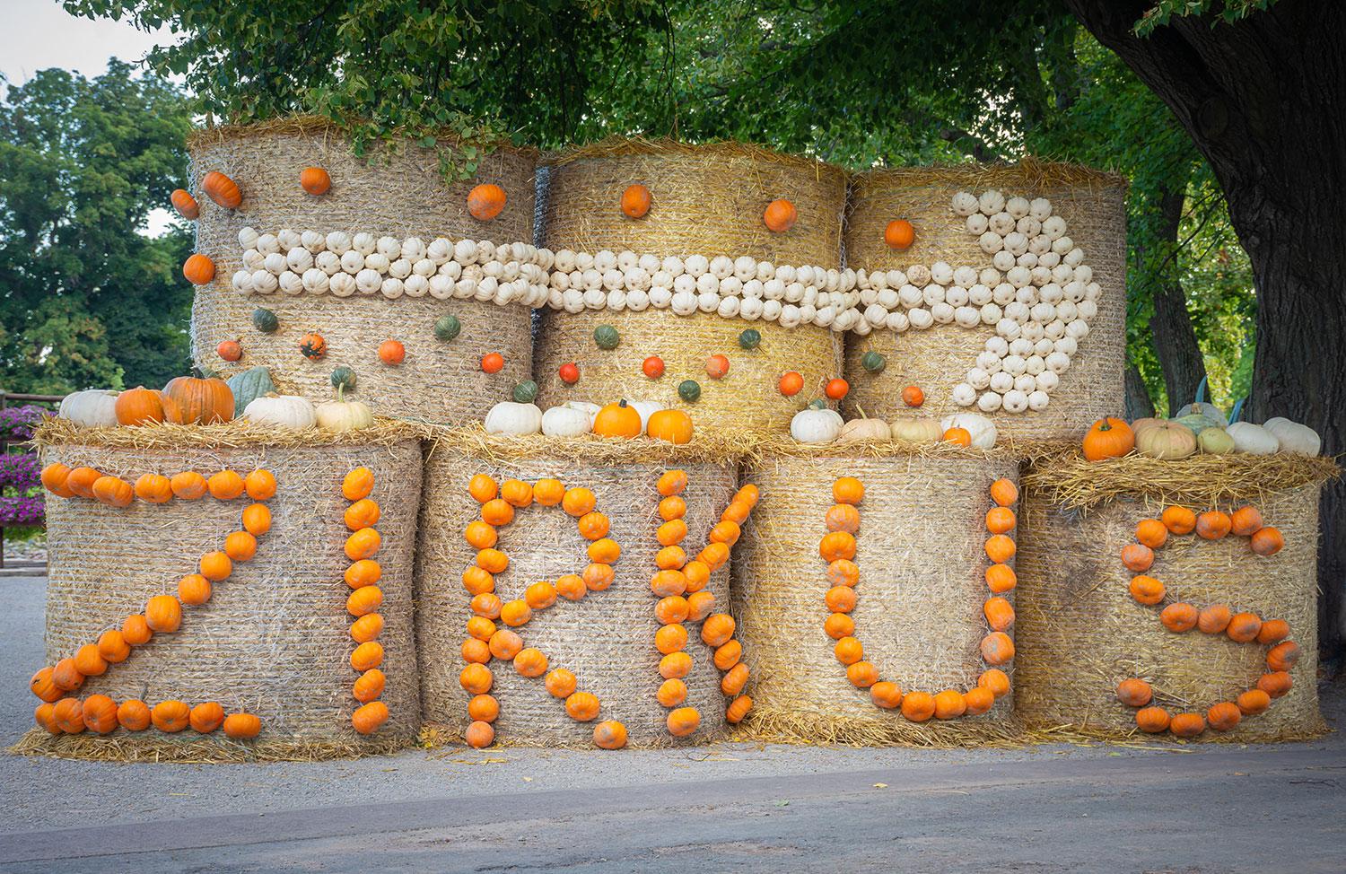 Kürbisausstellung egapark Erfurt 2019