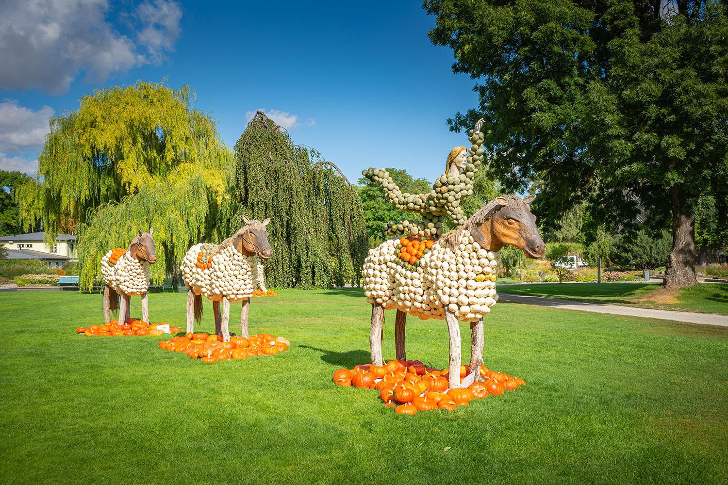 Kürbisausstellung egapark Erfurt 2019 - Kunstreiten