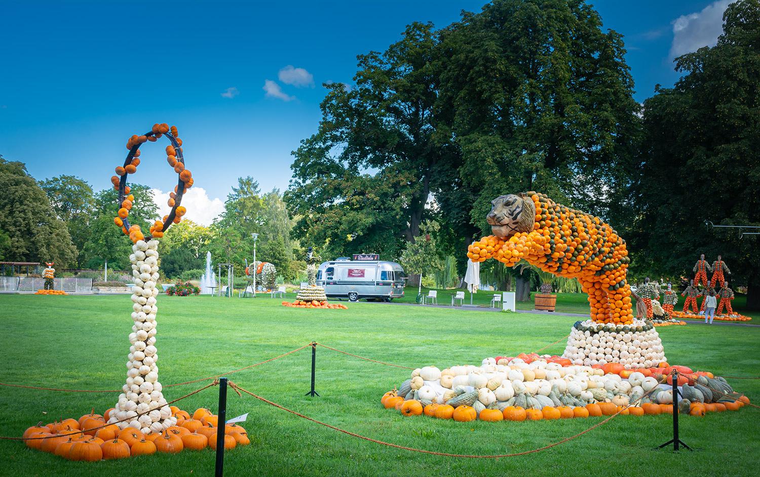 Kürbisausstellung egapark Erfurt 2019 - Tigersprung