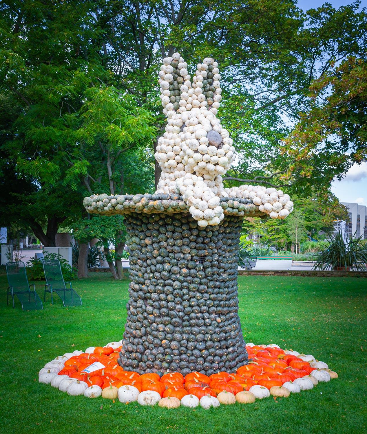 Kürbisausstellung egapark Erfurt 2019 - Zaubertricks