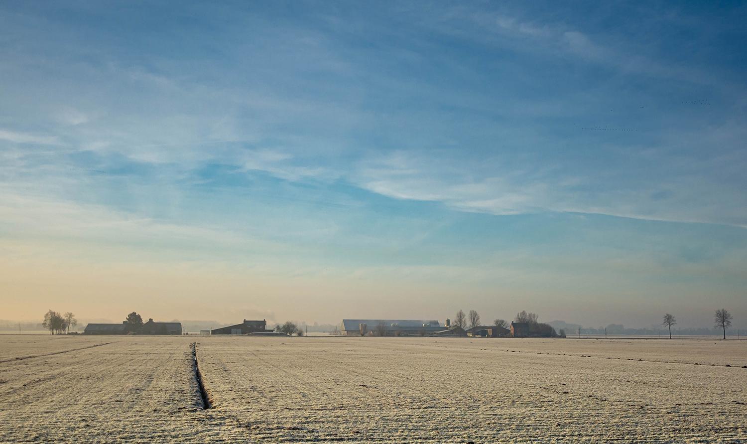 Landleben am Morgen - Niederland
