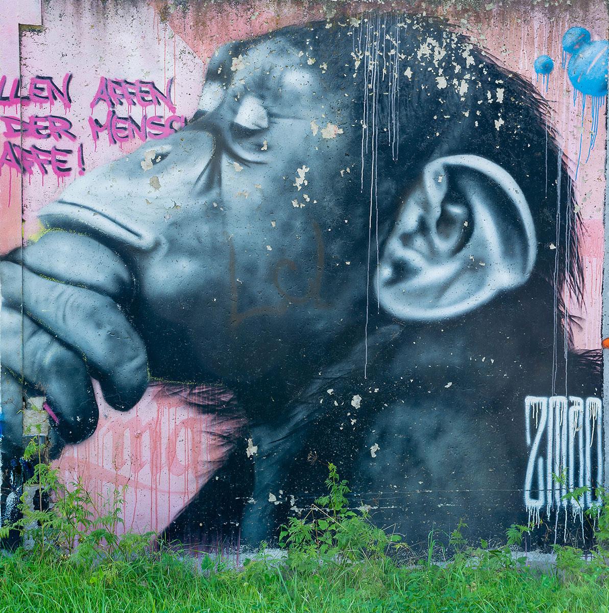 Menschenaffe - Graffiti in Meiningen (Thüringen)