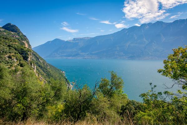 Der Gardasee - Italien