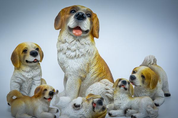 Hundefamilie