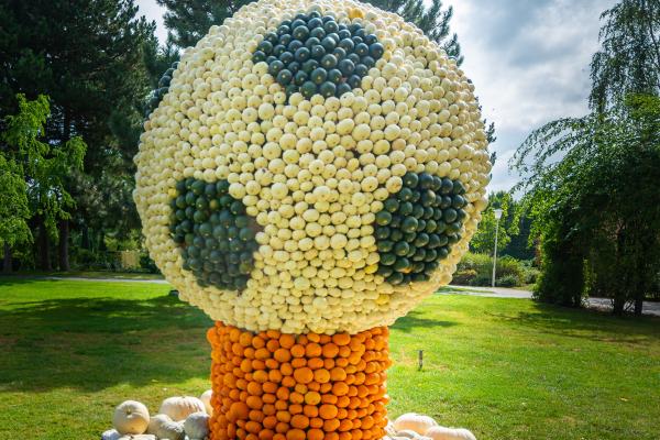 Kürbisausstellung egapark Erfurt 2016 - Fussball
