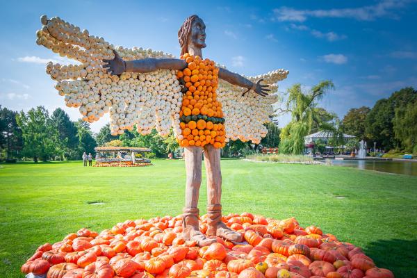 Kürbisausstellung egapark Erfurt 2018 - Ikarus