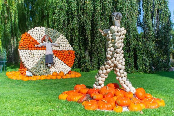 Kürbisausstellung egapark Erfurt 2019 - Messerwerfen