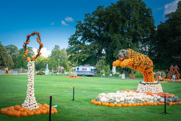 Kürbisausstellung egapark Erfurt 2019 - Tigersprung