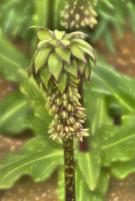 K&uuml;nstlerisch: Glanzlicht