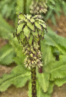 K&uuml;nstlerisch: Hinter Glas