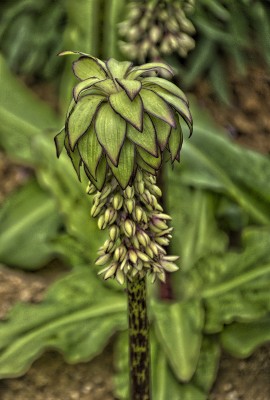 K&uuml;nstlerisch: Impressionistisch