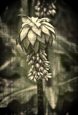 K&uuml;nstlerisch: Leinen