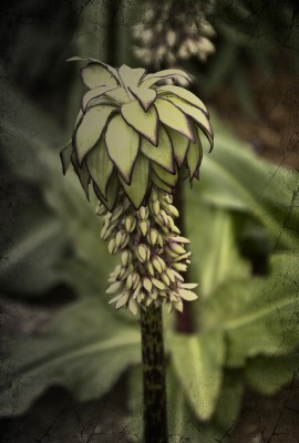 K&uuml;nstlerisch: Old School