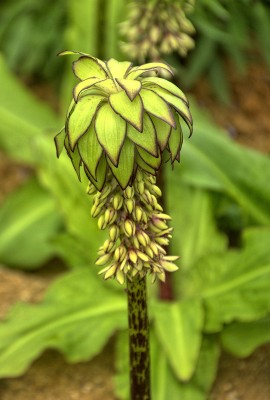 Landschaft: Deep Sky