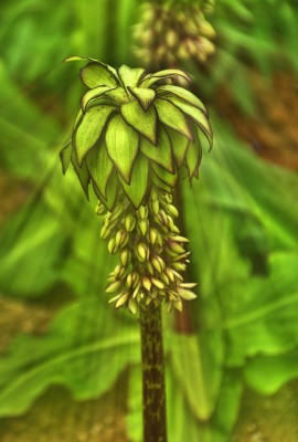 Landschaft: Lichtstrahlen