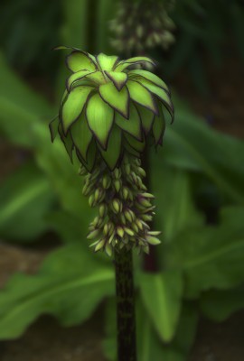 Landschaft: Mitternacht