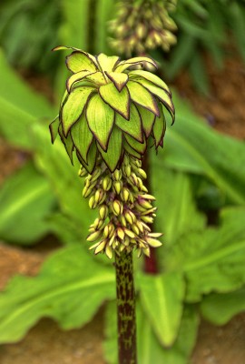 Landschaft: Polfilter