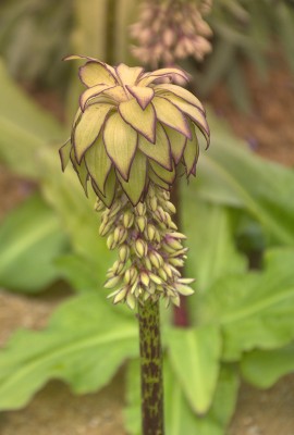 Landschaft: Sonnenaufgang