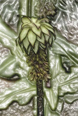 Zeichnung: Buntstifte