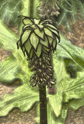 Zeichnung: Dunkle Skizze