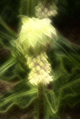 Zeichnung: Schraffur