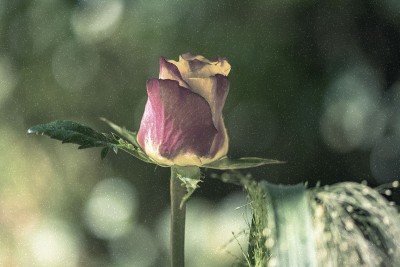 Jahreszeiten: Januar