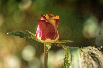 Jahreszeiten: Oktober