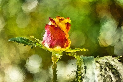 K&uuml;nstlerisch: Hinter Glas