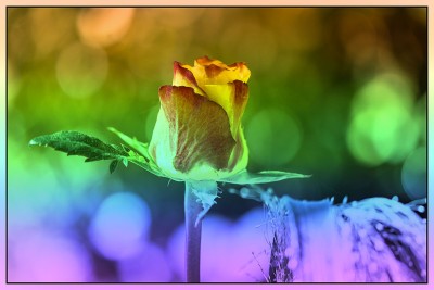 K&uuml;nstlerisch: Regenbogen Verlauf