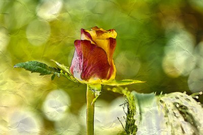 K&uuml;nstlerisch: Scribble